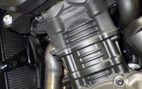 TRIUMPH SPEED TRIPLE RR 2024