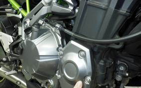 KAWASAKI Z900 Gen.2 2019 ZR900B