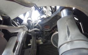KAWASAKI NINJA 250 SL BX250A