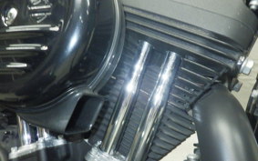 HARLEY XL1200NS 2018