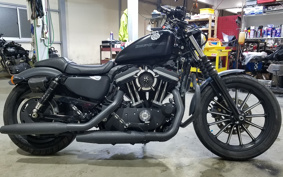 HARLEY XL883N 2010 LE2