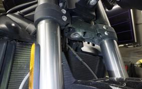 TRIUMPH STREET TRIPLE RS 2019