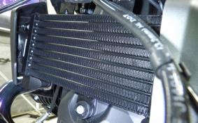 BMW R12 2024