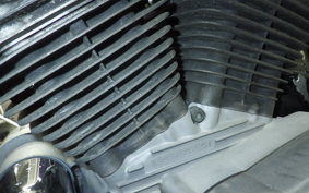 OTHER UNREGISTERED MODEL by BDS1200 2025