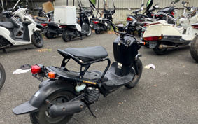 HONDA ZUMAR AF58