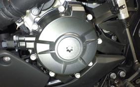 BMW S1000XR 2024