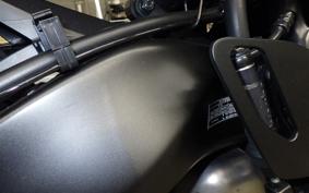 YAMAHA XSR900 2024 RN80J