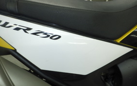 YAMAHA WR250X 1998 DG15J