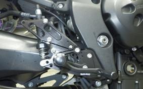 YAMAHA FZ1 FAZER 2010 RN21J
