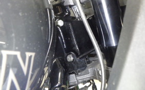 HARLEY FXLRST1920 2024