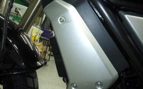 DUCATI SCRAMBLER 1100 2019