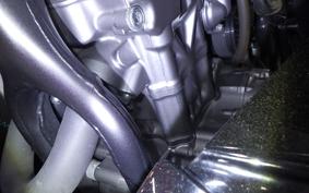 HONDA CRF250 GEN 2 RALLY 2021 MD47