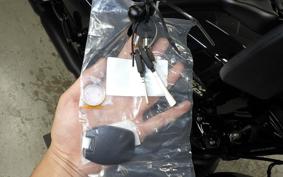 HARLEY FLHX1920 2026