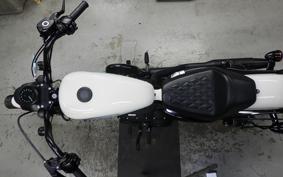 HARLEY XL1200NS 2018