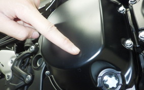 KAWASAKI Z900RS CAFE 2025 ZR900K