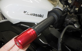 KAWASAKI NINJA 1000SX 2020 ZXT02K