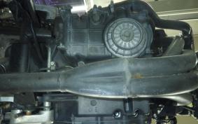 HONDA HORNET 250 2024 MC31