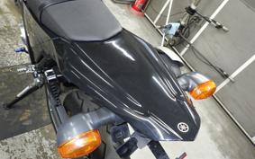YAMAHA WR250X DG15J