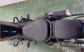 KTM 690 DUKE 2017 LDV40