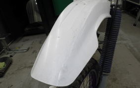 YAMAHA TT250R 2009 4GY