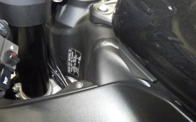 KAWASAKI NINJA ZX-6R A 2020 ZX636G