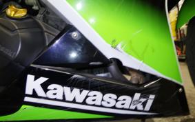 KAWASAKI NINJA 250 EX250L