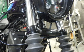 HARLEY XL1200NS 2018