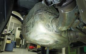 TRIUMPH SPEED 400 2024