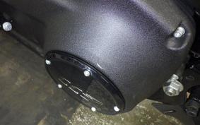 HARLEY FXLRS1920 2023