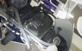 HONDA C50 SUPER CUB 2025 C50