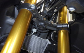 YAMAHA YZF-R15 1998 RG86J