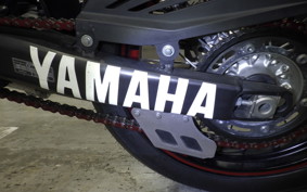 YAMAHA WR250X 1987 DG15J