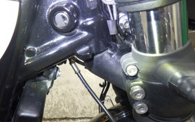 TRIUMPH BONNEVILLE SPEED 2021