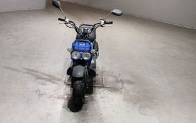HONDA ZUMAR AF58