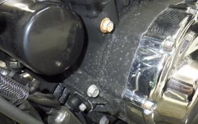 HARLEY L1200LI 2010