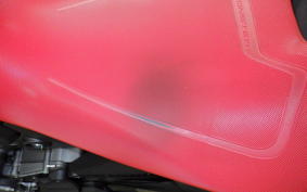 DUCATI MONSTER 937 SP 2024