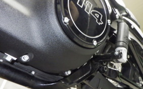 HARLEY FXBBS1870 2021
