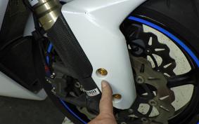 SUZUKI GSX-R1000 2009