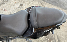 KAWASAKI NINJA 250R EX250K