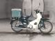 Фото Honda SUPER CUB50 с японского аукциона