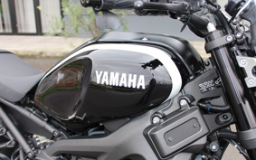 YAMAHA XSR900 2019 RN56J