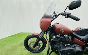 HARLEY FXBB 2017 YJJ