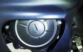 YAMAHA YZF R-3 2024 RH21J