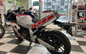 YAMAHA XSR900 GP 2024 RN96J
