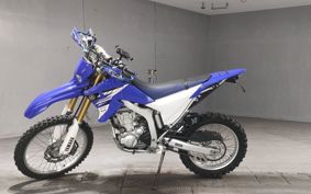 YAMAHA WR250R DG15J
