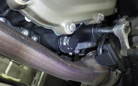 HUSQVARNA SVARTPILEN 250