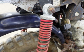 HONDA MONKEY 1993 Z50J