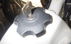 SUZUKI DR250 R-S 1982 SJ45A