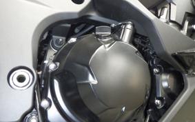 KAWASAKI NINJA 1000SX 2024 ZXT02K