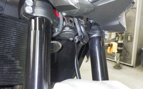 KAWASAKI Z900 2022 ZR900B